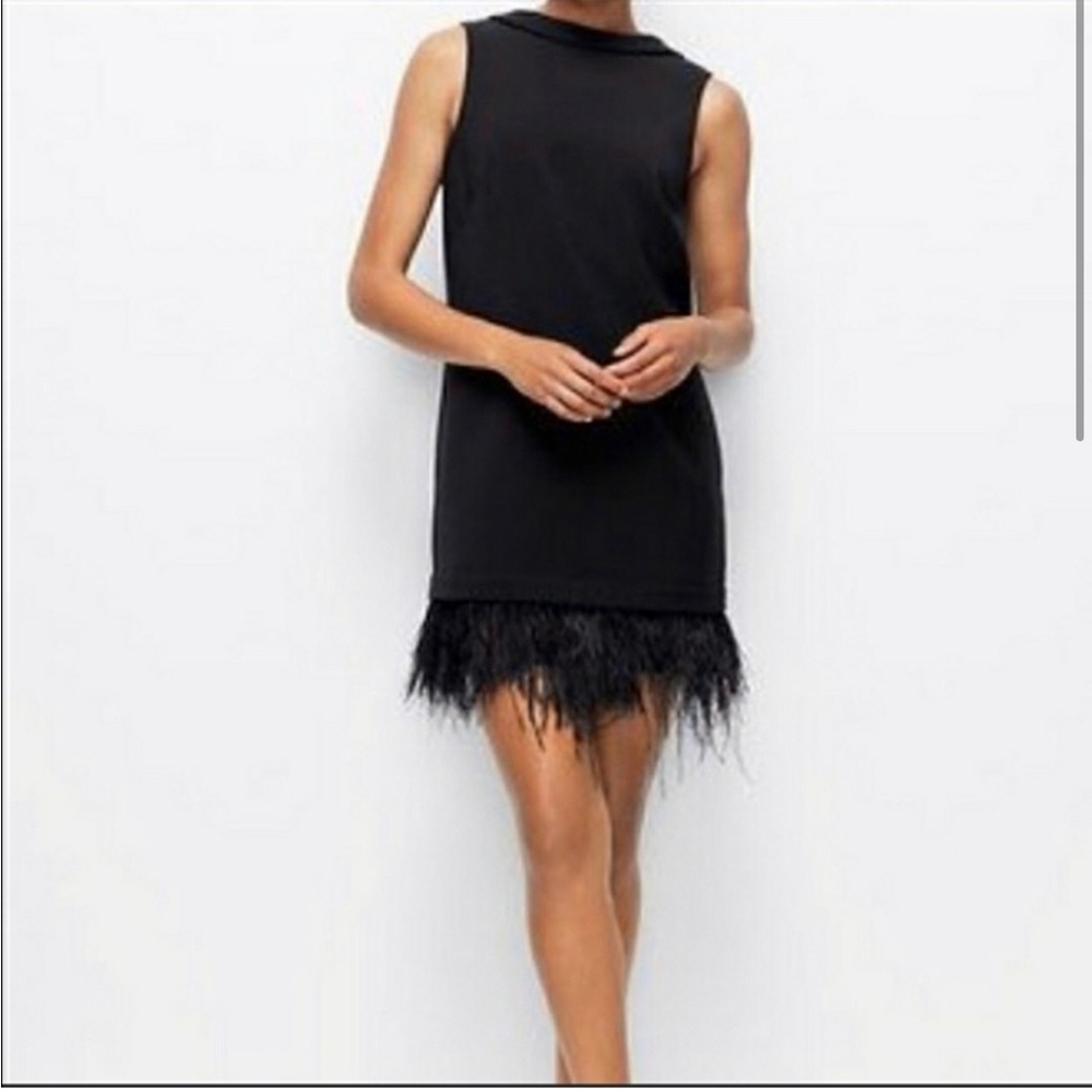 Ann taylor black dress feather trim